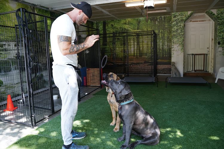 Dog trainer K9 Optima Richmond