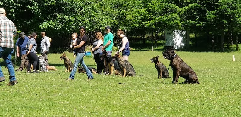 Dog trainer Ken Schilling's Pro Dog Training Eugene