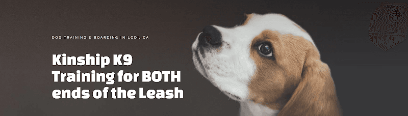 Dog trainer Kinship K9 Stockton