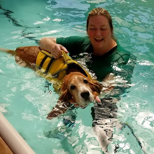 Dog trainer Kokoro Dog Kirkland