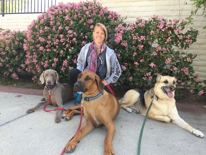 Dog trainer L A School For Dogs Los Angeles