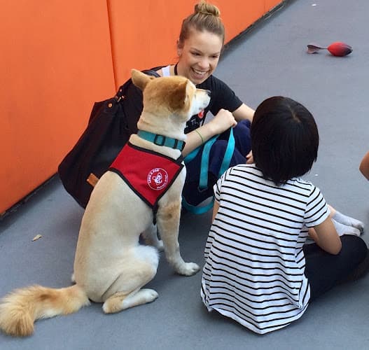 Dog trainer LEND A PAW Therapy Dogs Burbank