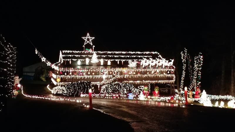 Dog trainer Lesa's Obedience Training Gresham