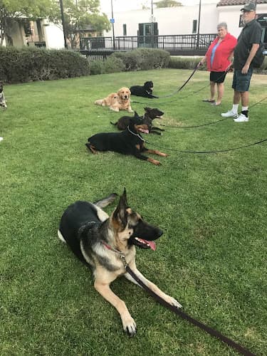 Dog trainer LIVE OAK DOG OBEDIENCE Jurupa Valley