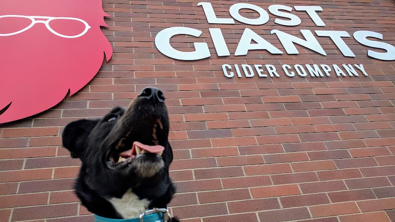 Dog trainer Lost Giants Cider Company Bellingham