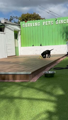 Dog trainer Man-K9 - San Diego Dog Training San Diego