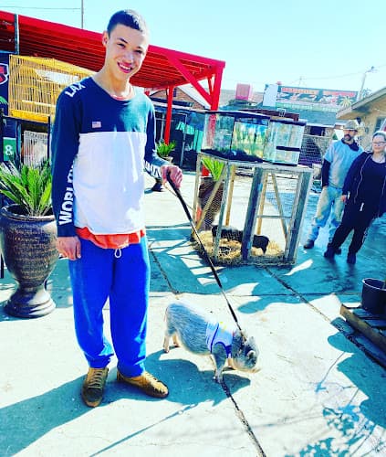 Dog trainer Marquez Pets Bakersfield