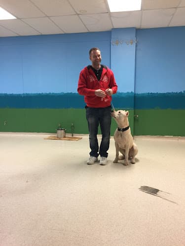 Dog trainer Martin's NorCal Dog Training Redding