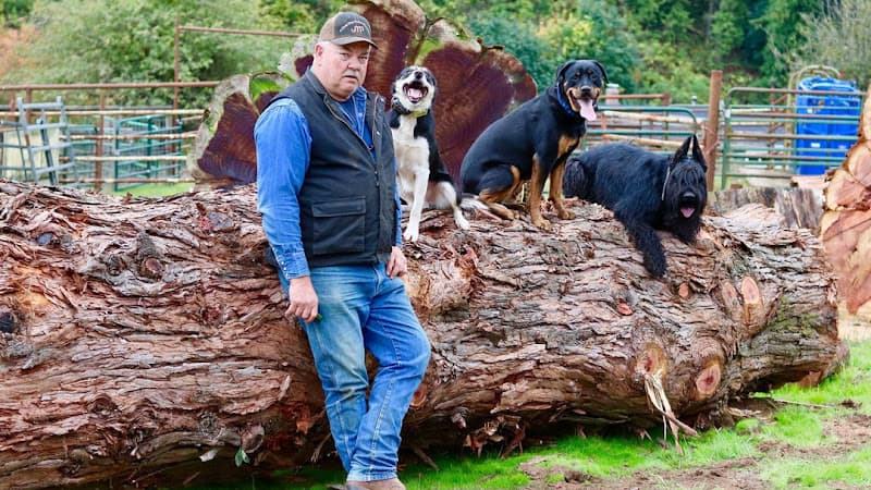 Dog trainer Marvin Pierce Dog Teacher LLC Salem