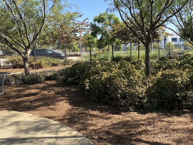 Dog trainer McGowen Dog Park Long Beach