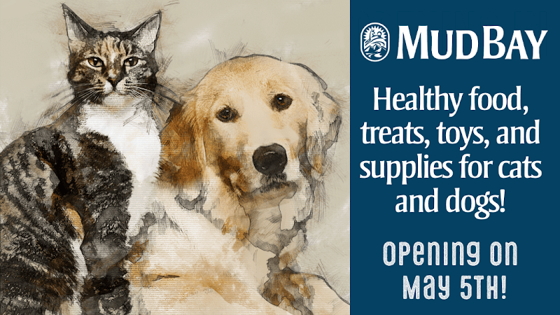 Dog trainer Mud Bay Bellingham