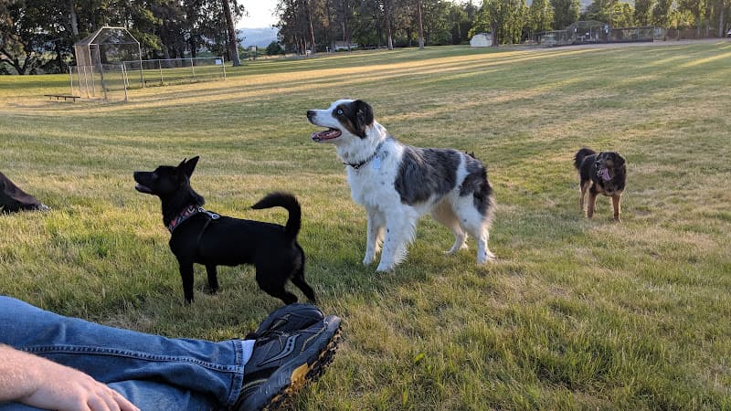 Dog trainer NWB Dogs Beaverton