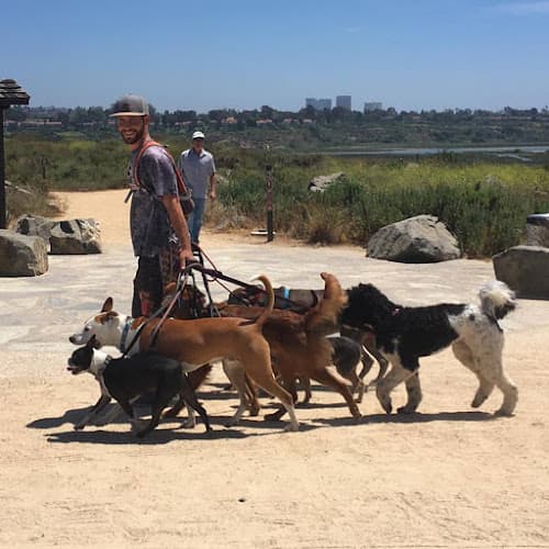 Dog trainer OC Pup Scouts Mission Viejo