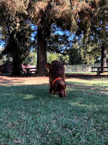 Dog trainer Off-Leash Dog Park Elk Grove