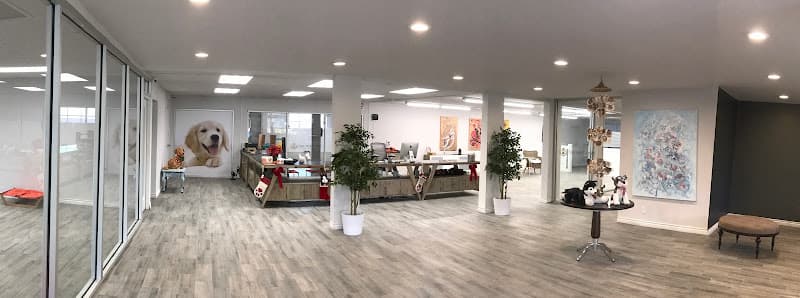 Dog trainer Paw Sweet Paw | Pet Resorts Irvine