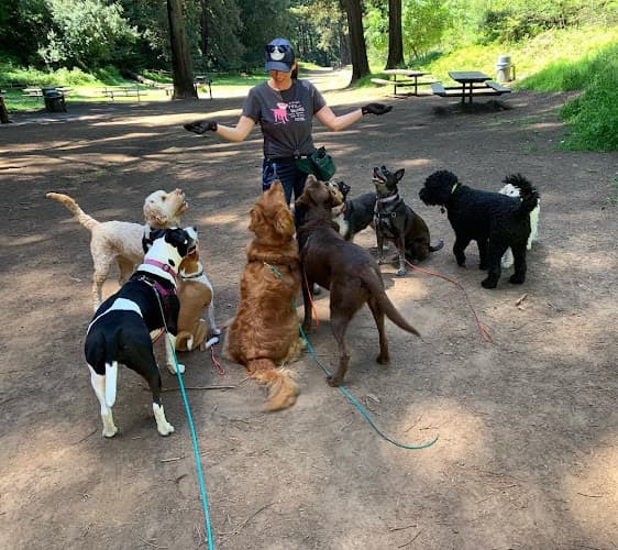 Dog trainer Pawsitopia Portland