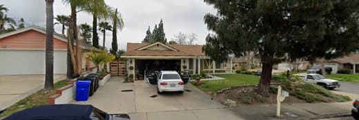 Dog trainer Peak Dog Training Rancho Cucamonga