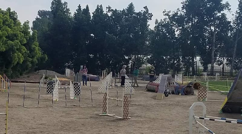 Dog trainer Peak Performance Dog Sports Pomona