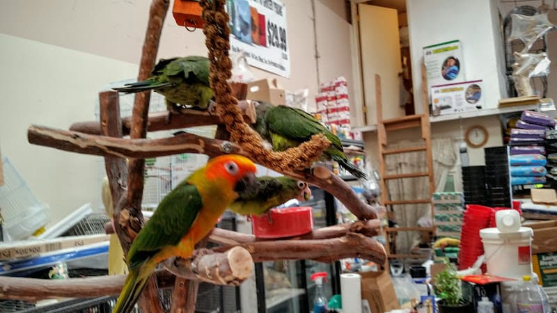 Dog trainer Perez Pet Feed and Supply Bakersfield