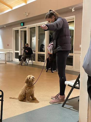 Dog trainer Perfect Puppy Academy Santa Barbara