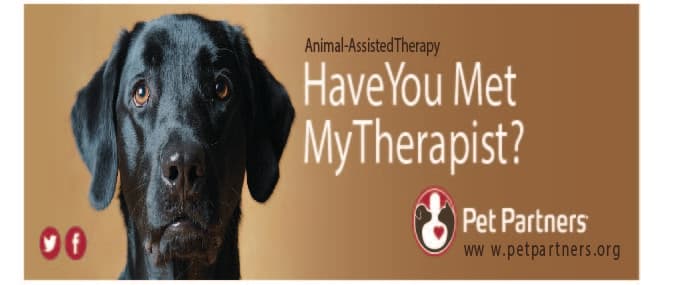 Dog trainer Pet Partners Bellevue