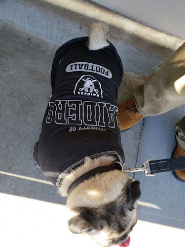 Dog trainer Petco Dog Training El Monte