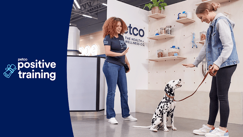 Dog trainer Petco Dog Training Everett