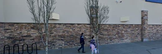 Dog trainer PetSmart Dog Training Everett