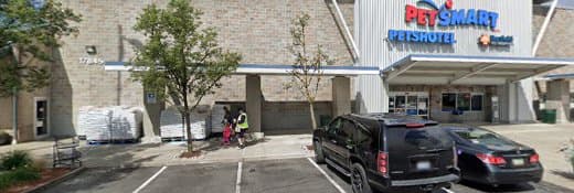 Dog trainer PetSmart Doggie Day Camp Kirkland