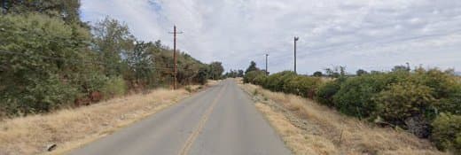 Dog trainer Placer County Schutzhund Club Roseville