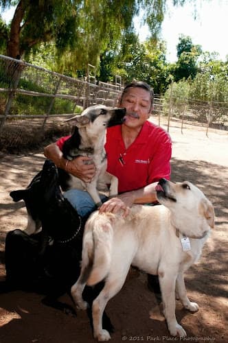 Dog trainer Pro-Train Innovative Dog Training Vista