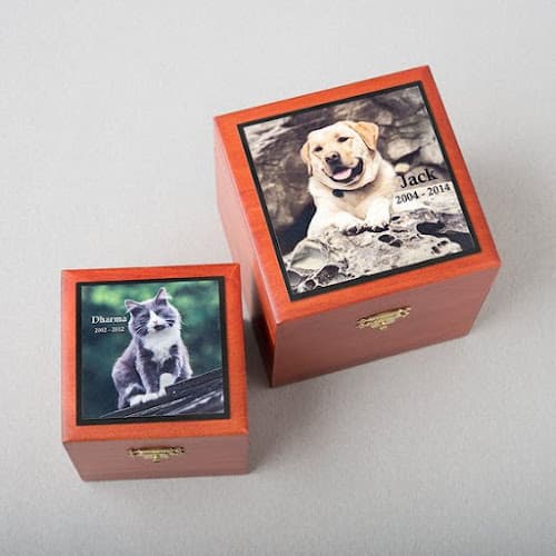 Dog trainer Radiant Heart After-Care for Pets Bellingham