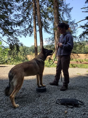 Dog trainer Ridgeline K9 LLC Eugene