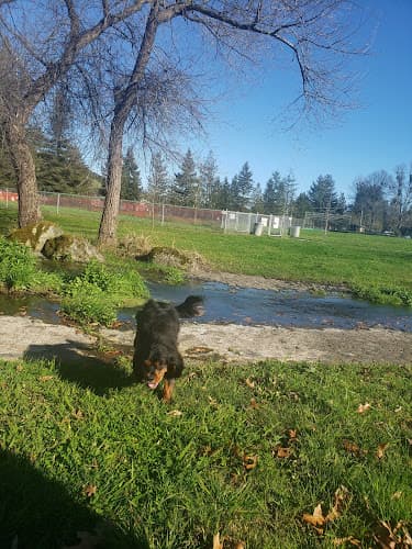 Dog trainer Rincon Valley Community Park Santa Rosa