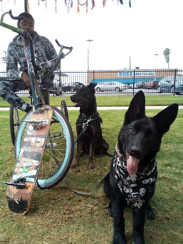 Dog trainer Rover Kennels Santa Monica