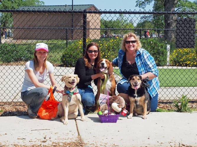 Dog trainer RRUFF Dog Park Roseville