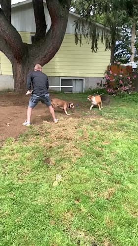 Dog trainer Ruff World Training Vancouver