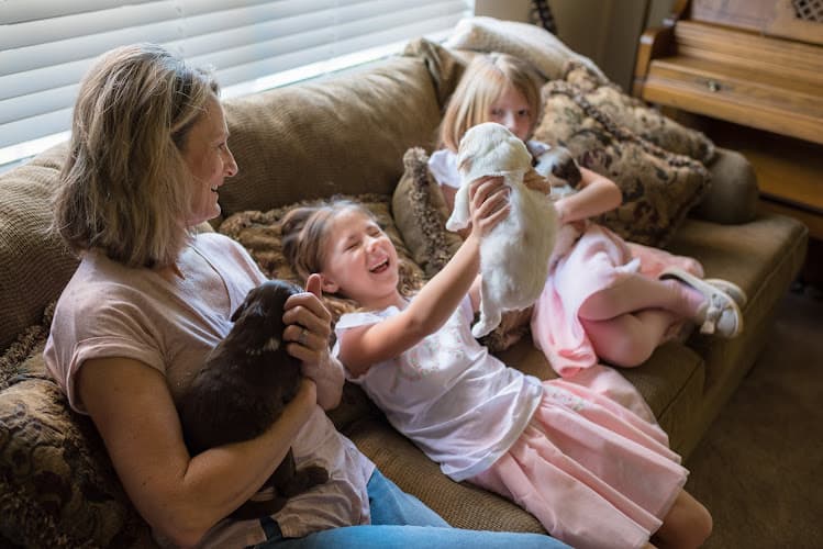 Dog trainer Sacto Labradoodles Elk Grove