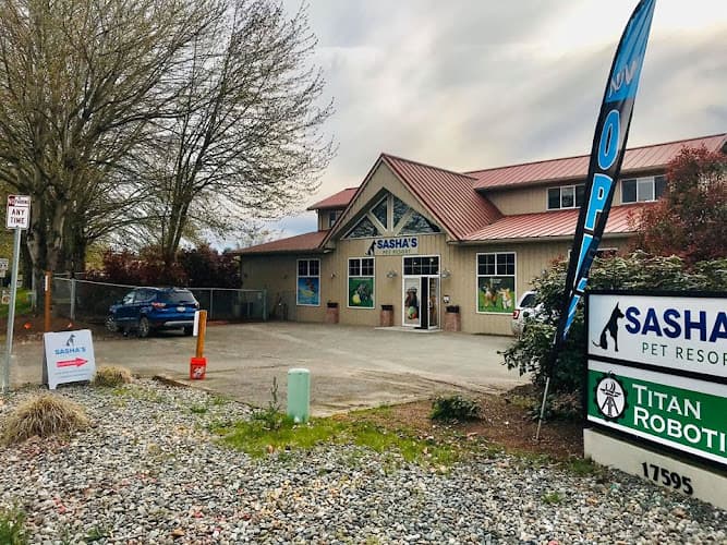 Dog trainer Sasha's Pet Resort Renton