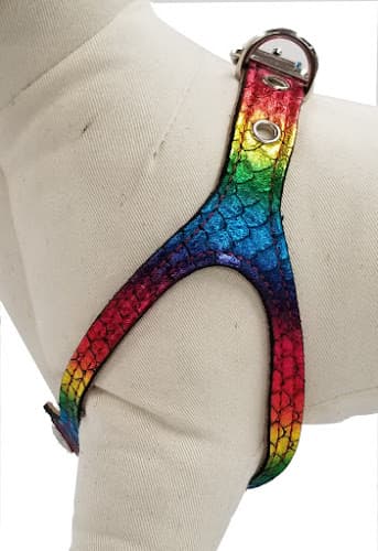 Dog trainer Scrappy Pets Chula Vista