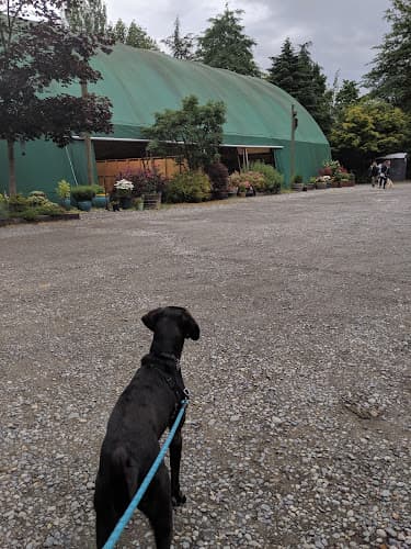 Dog trainer Seattle Agility Center Seattle
