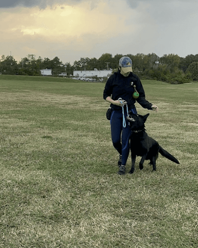Dog trainer Shades Of Blu Dog Training INC CA Chula Vista