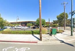 Dog trainer SIRIUS Puppy & Dog Training Antioch