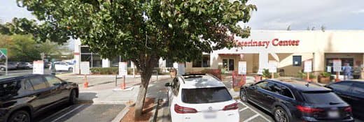 Dog trainer Sirius Puppy & Dog Training Antioch