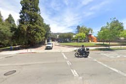 Dog trainer Sirius Puppy & Dog Training Richmond