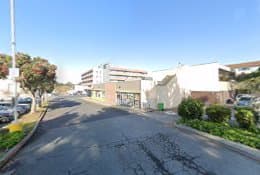 Dog trainer SIRIUS Puppy & Dog Training Richmond