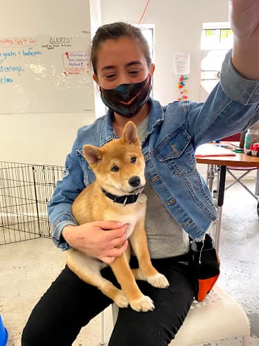 Dog trainer SmartyPup! Daly City