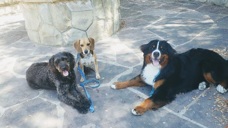 Dog trainer Sniff Squad Dog Training Santa Barbara