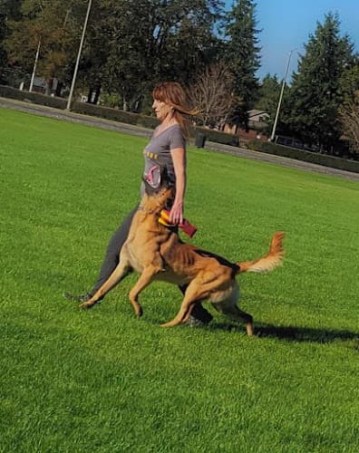 Dog trainer Sound K9 Concepts Tacoma