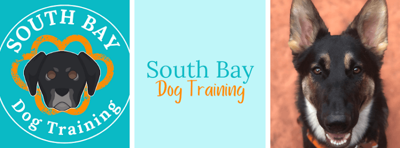 Dog trainer South Bay Dog Training San Jose